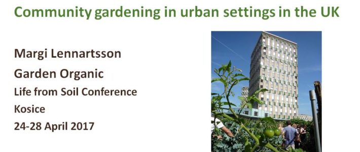 Community gardening in urban settings in the UK